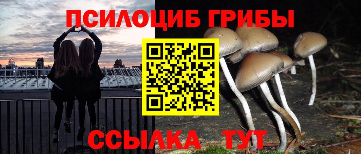 Галлюциногенные грибы ЛСД  Вход с VPN  Алексин 