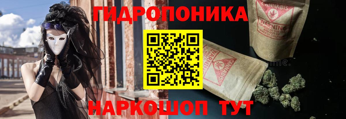 Канабис гибрид  Вход с VPN  Канабис сатива  Алексин  Каннабис Amnesia  Каннабис THC 21% 